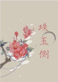 珠玉侧(古风言情) 雾以