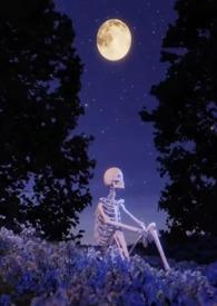 莺莺燕燕是啥意思