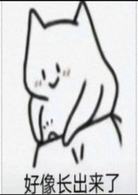 那个被我玩弄的男孩在线阅读