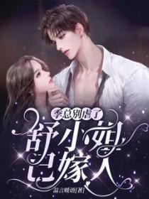 舒小姐已嫁人 在线阅读