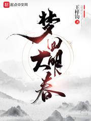 梦回大明春笔趣阁全本