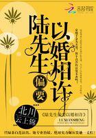 陆先生偏要以婚相许最新章节