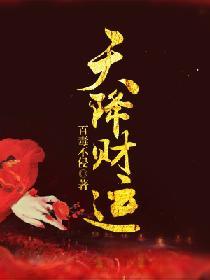 天降财运全集txt免费