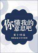你懂我的意思么