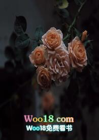 壁垒(骨科NP)结局