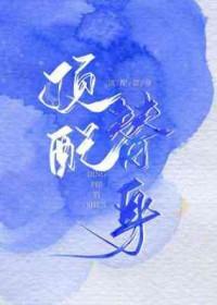 顶配替身txt