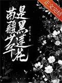 苗疆少年是黑莲花是清水吗
