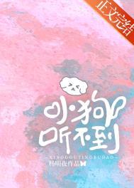 小狗听不到txt免费阅读