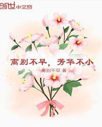 芳华不小什么意思