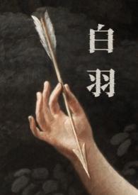 男主叫白羽