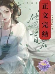 可我夫君他眼盲就爱言情