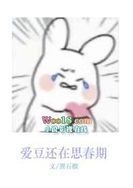 爱豆在娱乐圈的地位