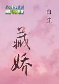 藏娇晋江文学城