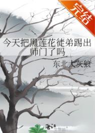 今天把黑莲花徒弟踢出师门了吗 番外