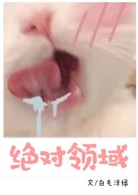 绝对领域(hsc1v1)校园