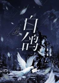白鸽新作品
