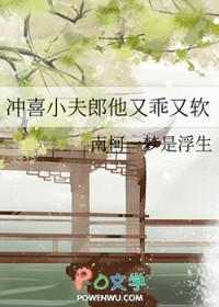 冲喜小夫郎水三金全文txt