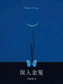 误入金笼by贺新郎免费阅读