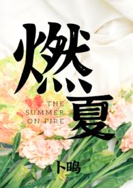 女主夏燃的