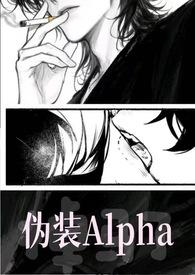 a伪装o