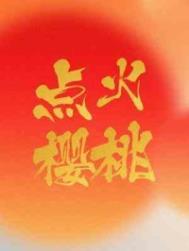 点火樱桃公司