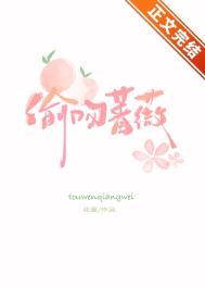 偷吻蔷薇 番外