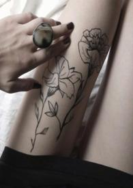 金丝雀的自我修养池晚晚