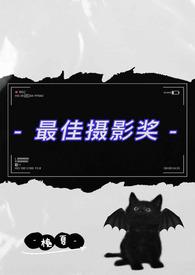 最佳摄影奖状图片