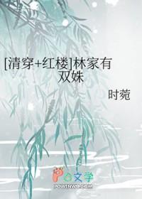 清穿加红楼林家林少爷