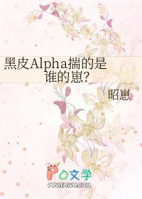 黑皮2b