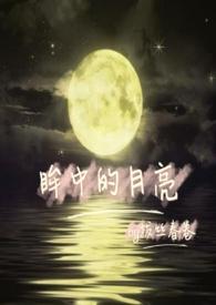 眼眸中的他