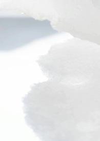 樱花校园病娇