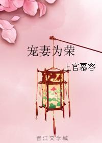 宠妻为后免费全文阅读