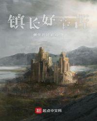 镇长有什么前途