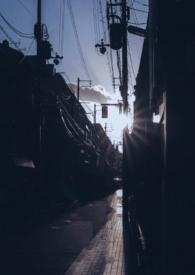 你是我的曙光po18