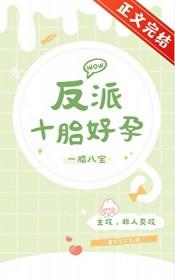 反派十胎好孕TXT