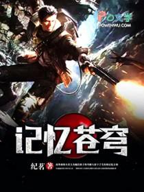 记忆苍穹是什么意思