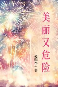 又美丽又危险歌词