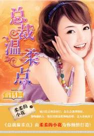 总裁很温柔gl