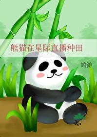 熊猫卖萌星际