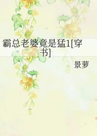 霸总宠老婆