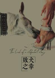败犬知乎