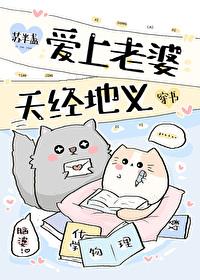 爱上老婆她妈
