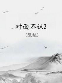 看对面不相识是什么歌