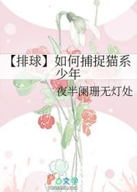 排球少年 排球鞋