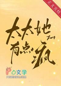 太太她有点疯txt免费阅读