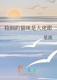 捡了一只大猫应该怎么处理
