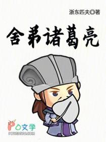 舍弟诸葛亮笔趣阁无防盗