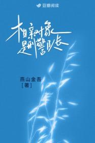 相亲对象是刑警队长宋魅江鹭