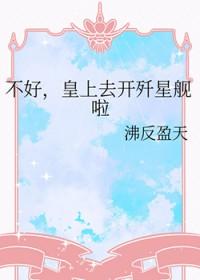 不好皇上去开歼星舰啦的免费阅读